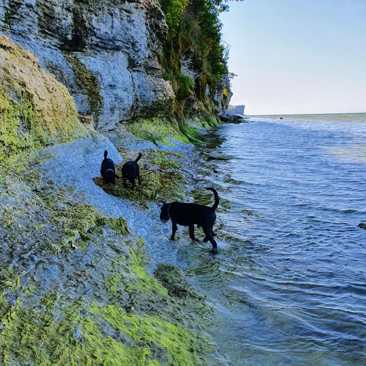 Gotland